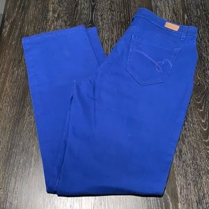 ❗️3/$25❗️Blue Bandolino Jeans